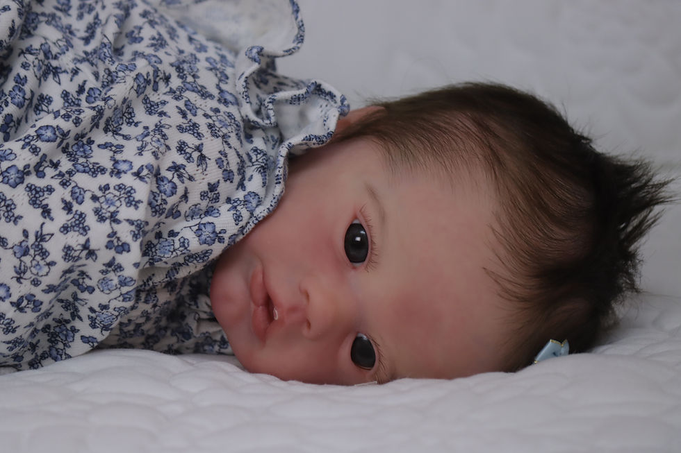 Primrose Awake Reborn Doll By Laura Lee Eagles w/ COA💐