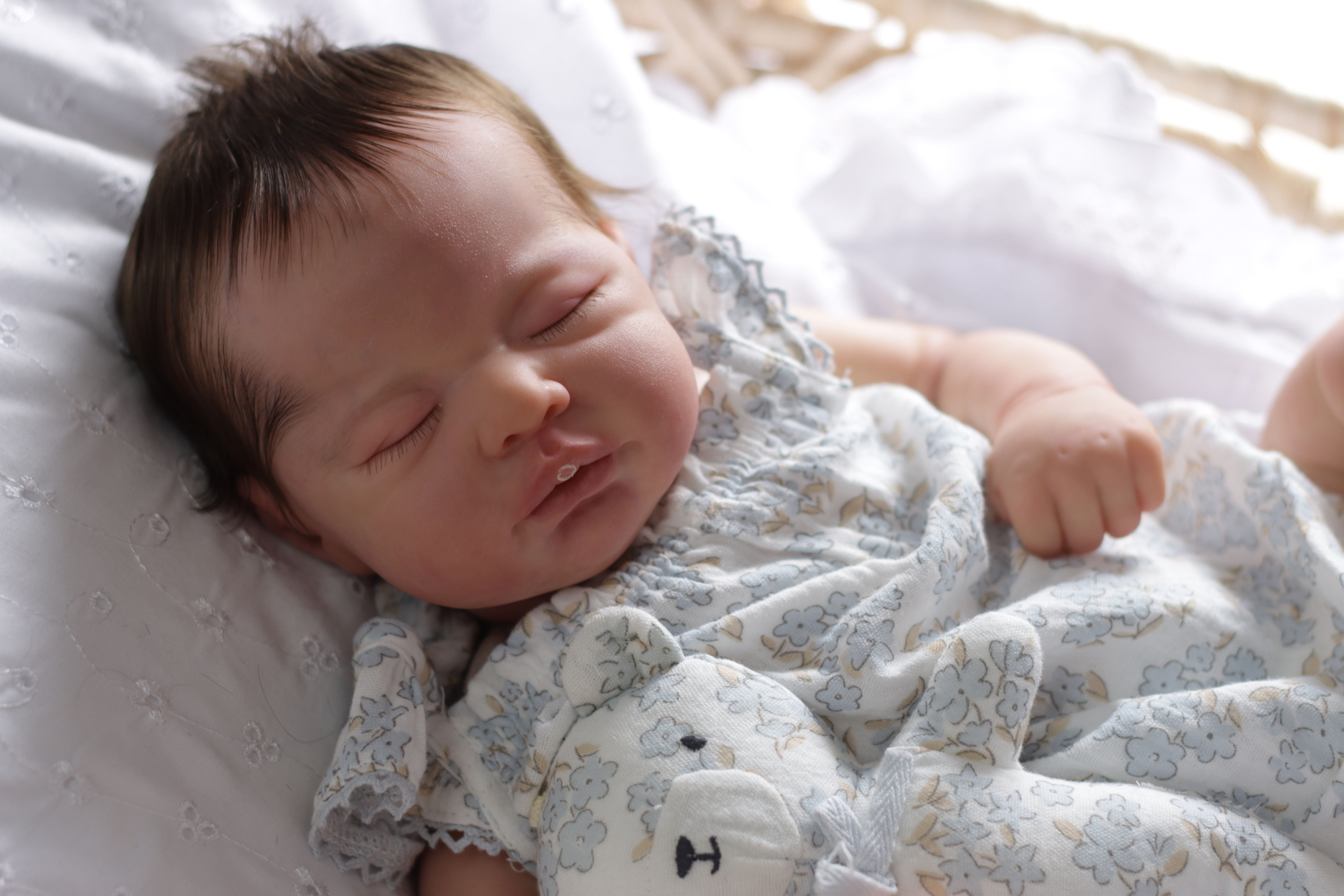 Beautiful BEP by JoyLynn Wong w/COA Ready to Ship💗