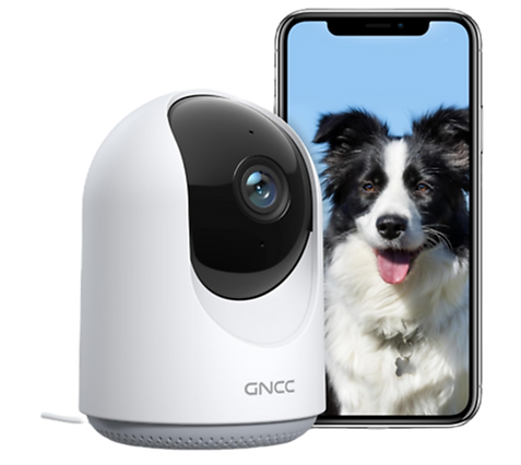 New Project (26)_edited.png