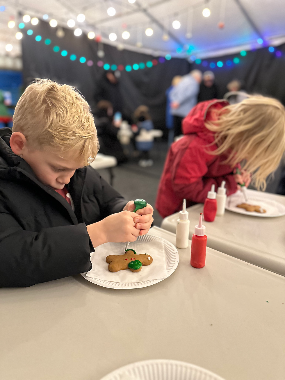 Decorating Your Gingerbread Biscuit