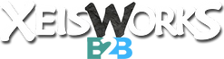 XeisWorks_b2b.png