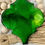 Thumbnail: Green Ceramic Magnet