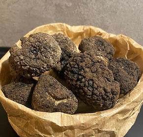 Tartufo Uncinatum