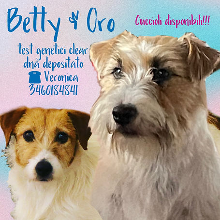 Locandina Betty e Oro.jpeg