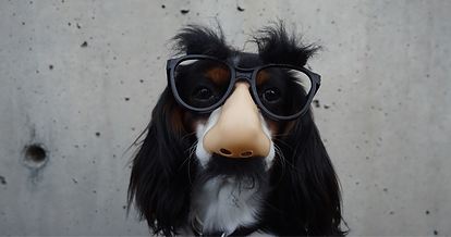 Dog wearing Costume_edited.png