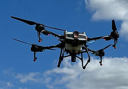 DJI-T10.jpg