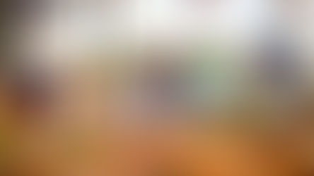 The tangy Lemoncello's Library series books