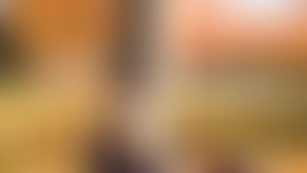 Harry Potter series books review 