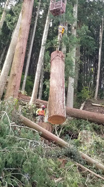 20200626_145002 (1).jpg