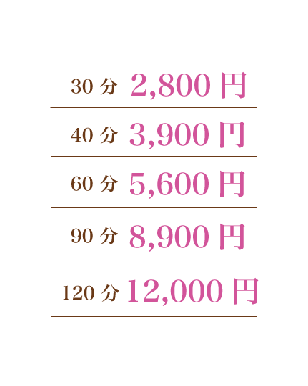 新レデイース料金.gif