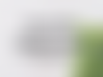 Beyond the Original Twelve: Exploring the Expanded World of Schüessler Cell Salts (13–33)