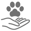dog training, puppy curriculum, responsibly raised pup