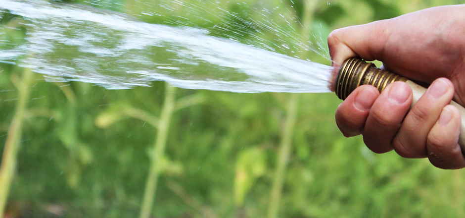 Entretien du filtre à eau