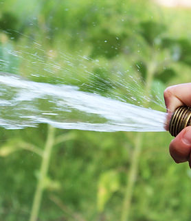 Water Filter Maintenance