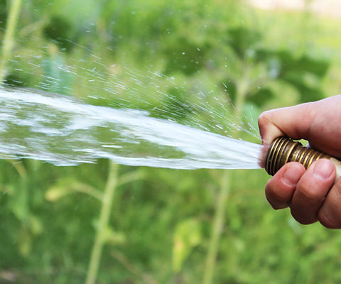 Water Filter Maintenance