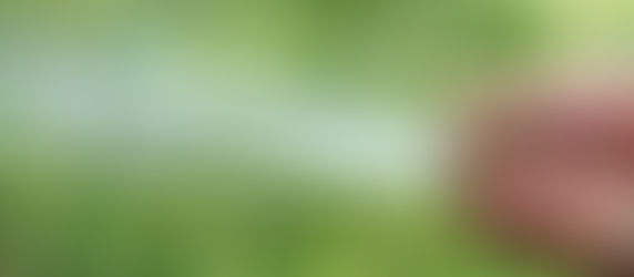 Concesiones de Agua y Reforma en Materia Hídrica: Nuevas Obligaciones y Riesgos Legales para Propietarios y Productores