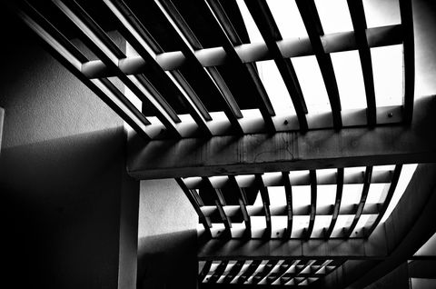 Steel Curves (3).jpg