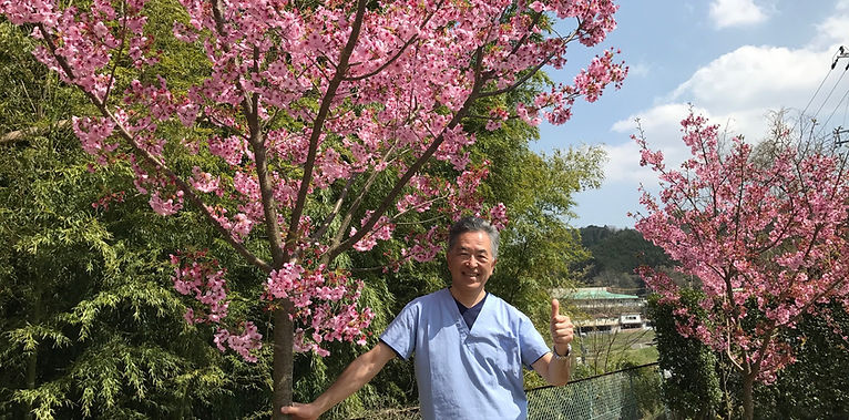 野村医院 院長 野村 信介