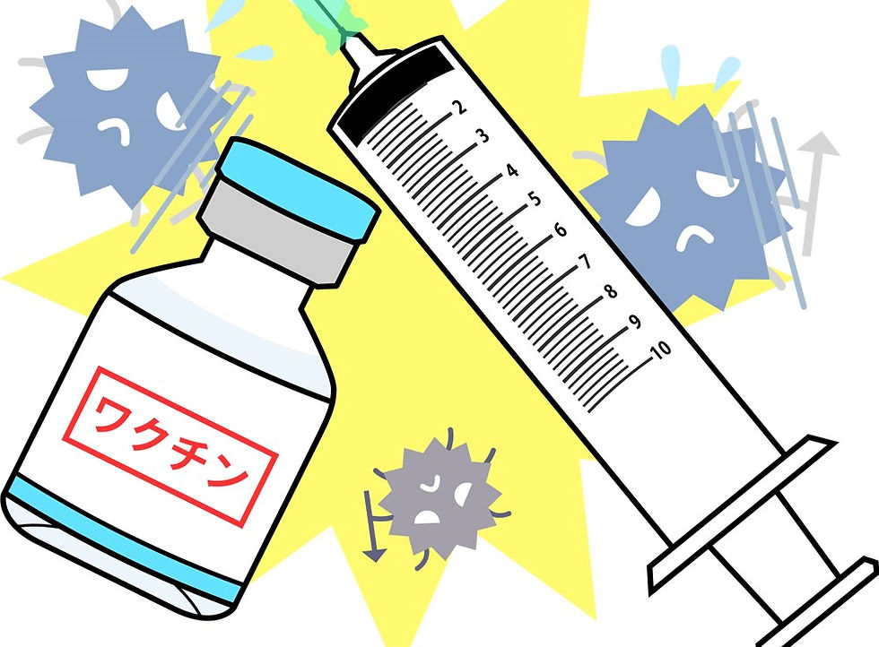 なぜ高齢者は、肺炎球菌ワクチンが定期接種の対象となっているのか