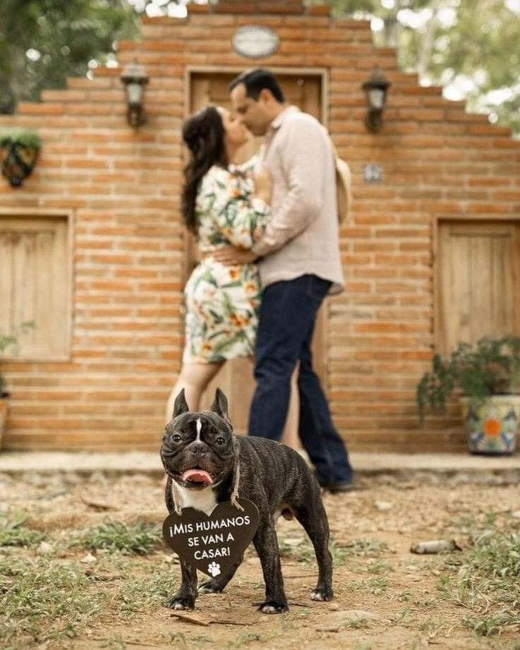 Miniatura: Perrhijo "Save the Date"