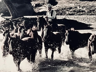 Embrace Ranch Life with Grit On The Tongue Apparel