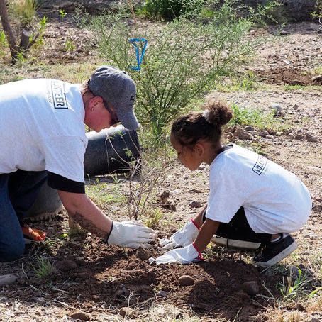 Community Involvement in Restoration