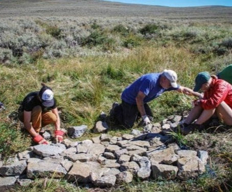 Wet Meadows for Grouse
