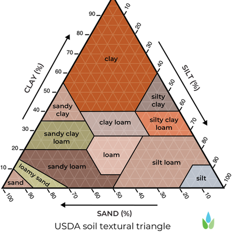 Rocky Mountain Native Plants for Clay Soils