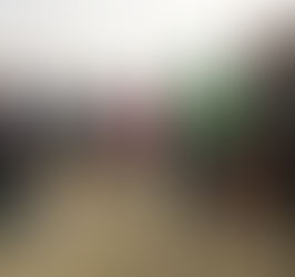 Restoration Planting with Middle School Students