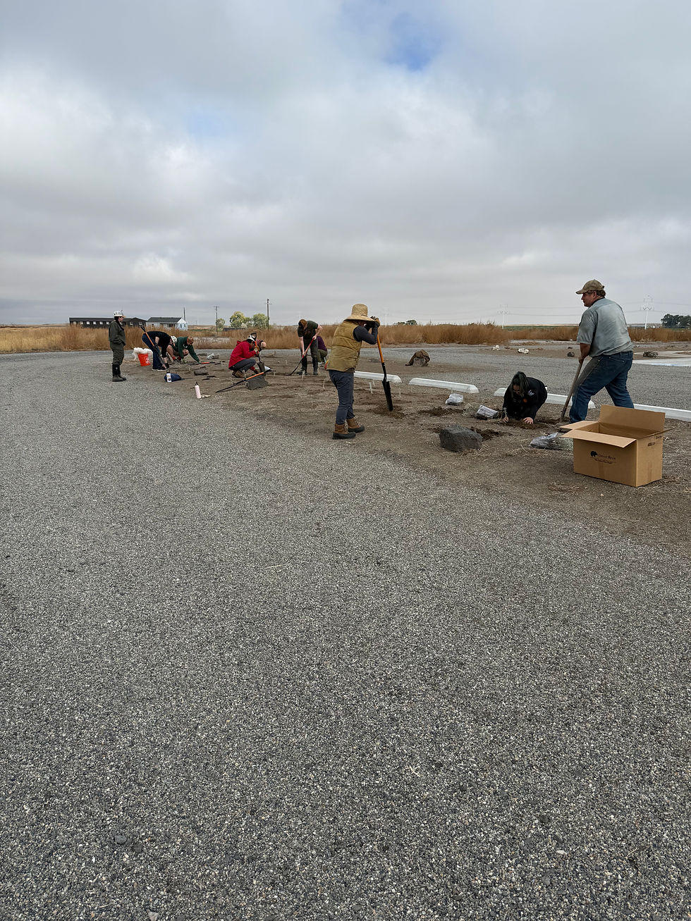 Planting at the Visitor Center