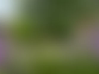 The Little Shovel - Pollinator Gardens in Bozeman, MT