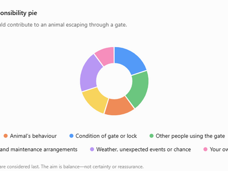 The Responsibility Pie: A Helpful CBT Technique for OCD