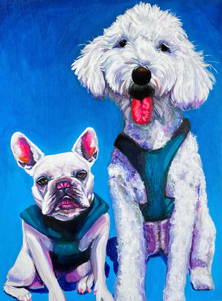Portrait painting of white French bull dog and white golden doodle on blue vibrant background. Acrylic painting on 12x16"wood panel.