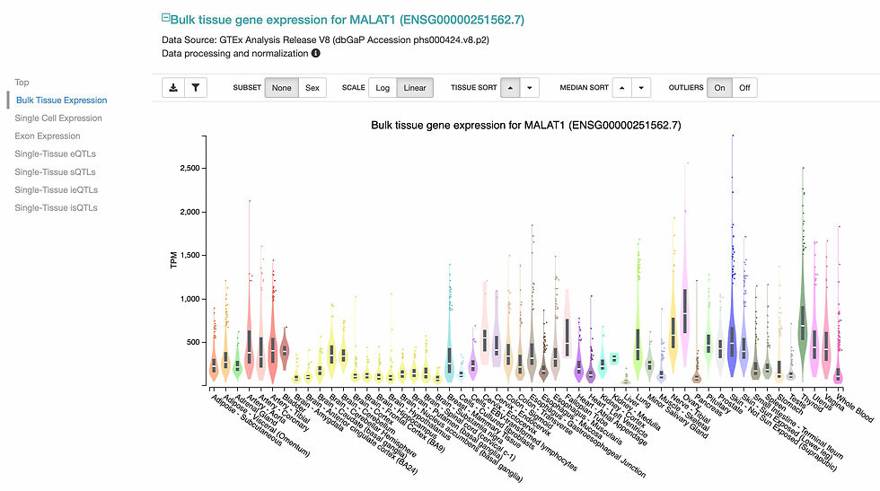 Example output after querying for for bulk tissue MALAT1 expression in the GTEx portal