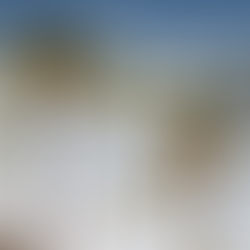 Painted Lady featured in "The 25 places you need to travel in 2020"