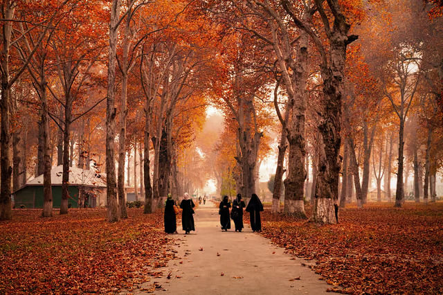 Kashmir