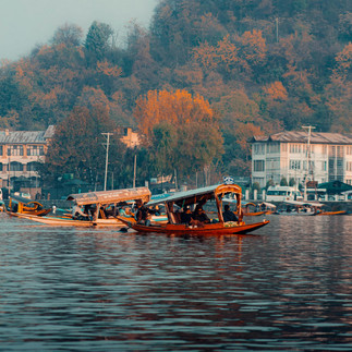 How to Fall in Love in Kashmir