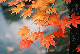 kashmir tourism places