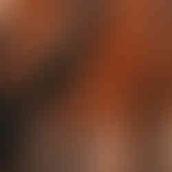 How to Fall in Love in Kashmir