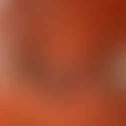 How to Fall in Love in Kashmir