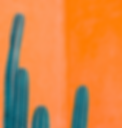 Azul_homepage_1920x2000_2-v2.png