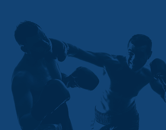 Boxer Artwork - Blue.png
