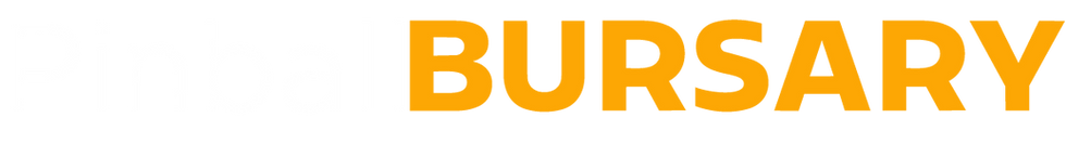 pinball bursary (white & yellow).png