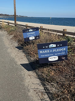 SEA lawn signs along beach