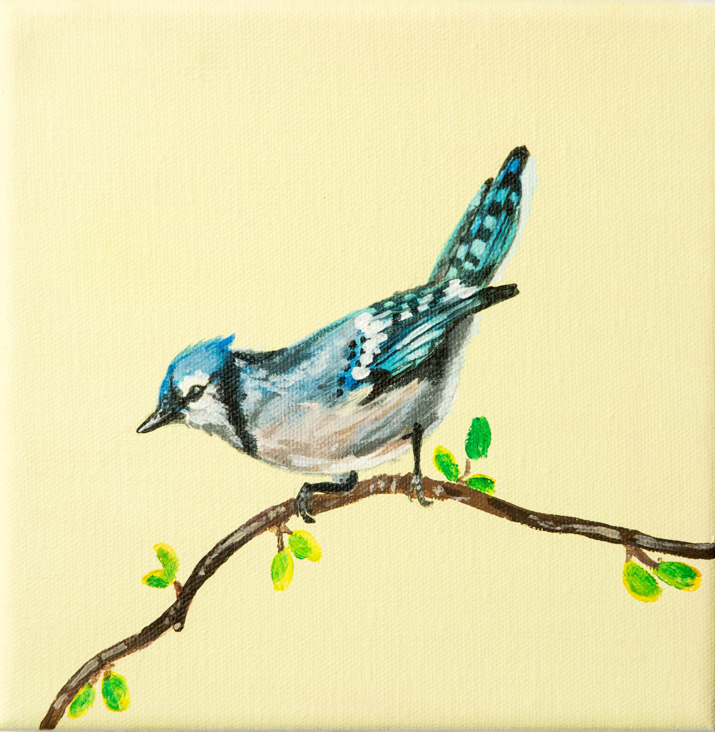 Pájaro Azul