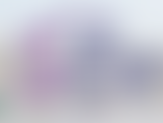 5 Luxury Disney Experiences Most Guests Don’t Even Know Exist