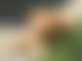 So You’re Getting a Puppy? Get Honest Before You Commit