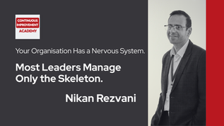 Your Organisation Has a Nervous System. Most Leaders Manage Only the Skeleton.