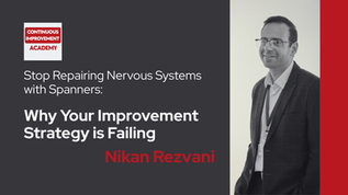 Stop Repairing Nervous Systems with Spanners: Why Your Improvement Strategy is Failing
