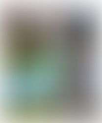 See the 2025 MCHAP Finalists: Celebrating Architectural Excellence in the Americas